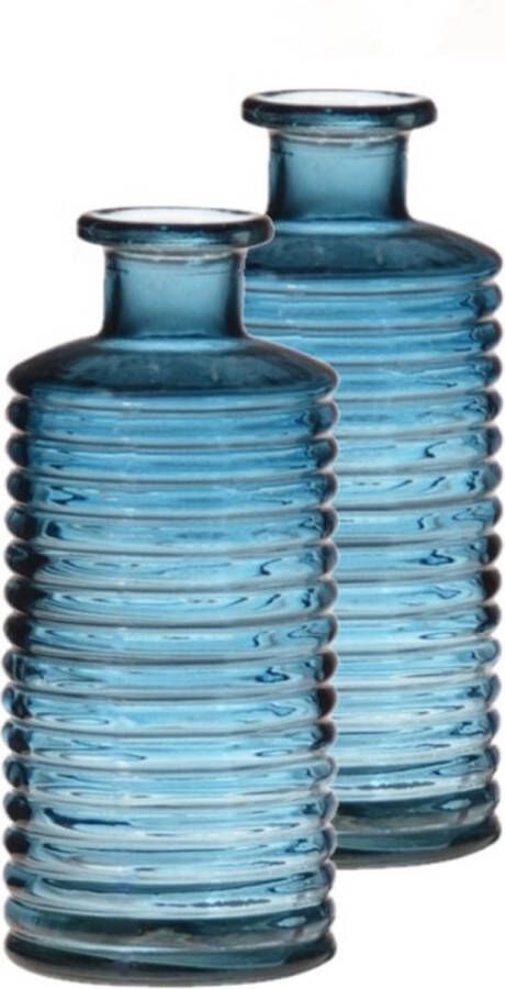 Merkloos Sans marque Set van 2x stuks glazen stijlvolle bloemenvaas vazen transparant blauw met diameter 14.5 cm en hoogte 31 cm Bloemen kunstbloemen boeketten