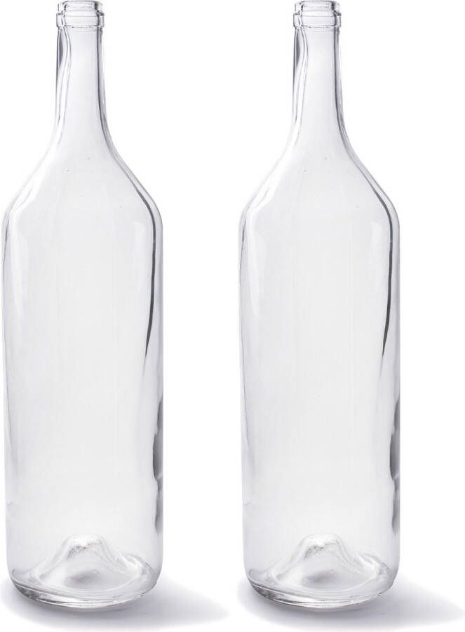 Merkloos Sans marque Set van 2x stuks transparante fles vaas vazen van glas 14 x 53 cm Woonaccessoires woondecoraties Glazen bloemenvaas Flesvaas flesvazen