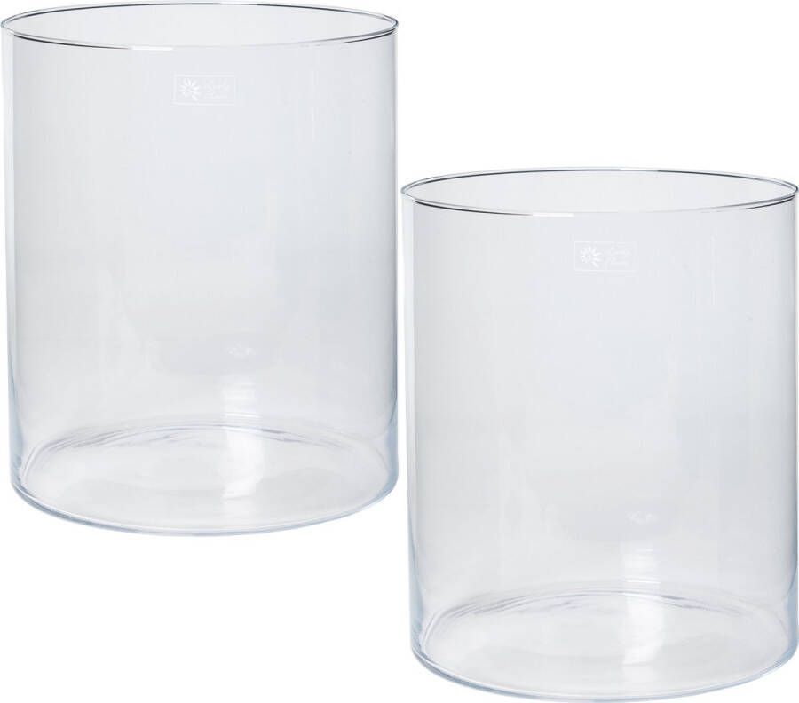 Merkloos Sans marque Set van 2x stuks transparante home-basics Cilinder vaas vazen van glas 30 x 35 cm Bloemen boeketten binnen gebruik