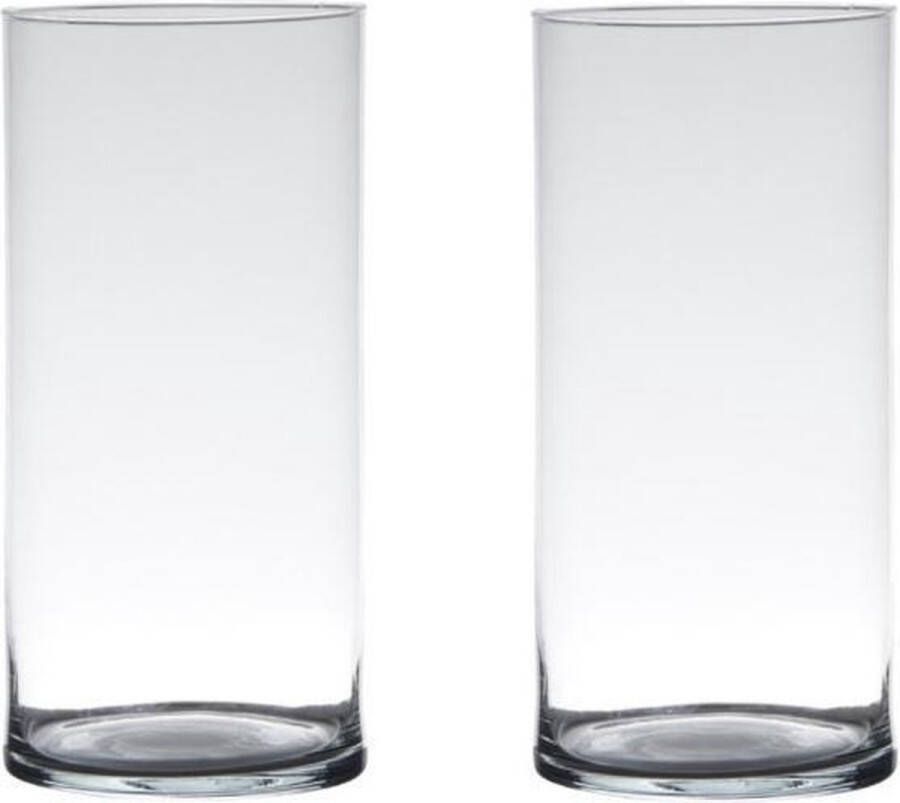Merkloos Sans marque Set van 2x stuks transparante home-basics Cylinder vaas vazen van glas 25 x 12 cm Bloemen takken boeketten vaas voor binnen gebruik