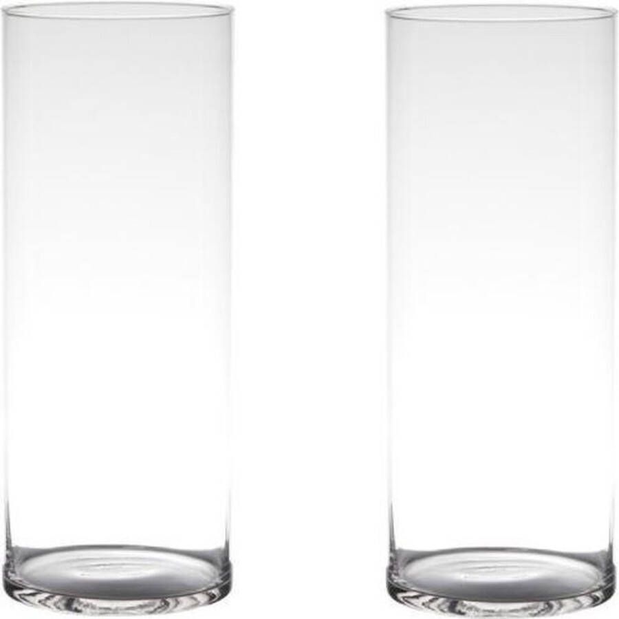 Merkloos Sans marque Set van 2x stuks transparante home-basics Cylinder vaas vazen van glas 30 x 12 cm Bloemen takken boeketten vaas voor binnen gebruik