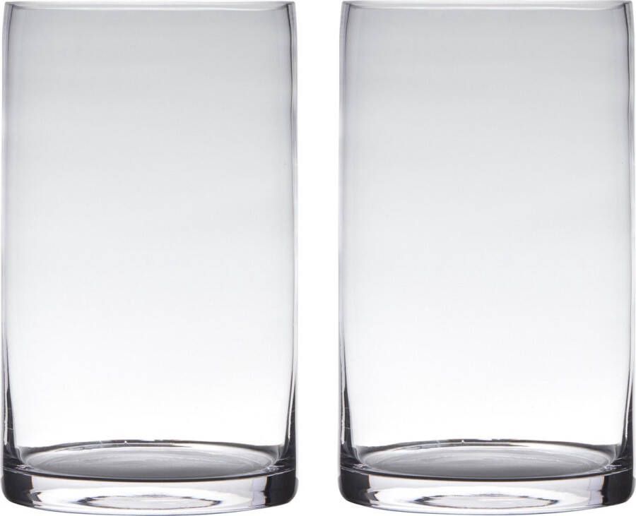 Merkloos Sans marque Set van 2x stuks transparante home-basics Cylinder vorm vaas vazen van glas 40 x 12 cm Bloemen takken boeketten vaas voor binnen gebruik