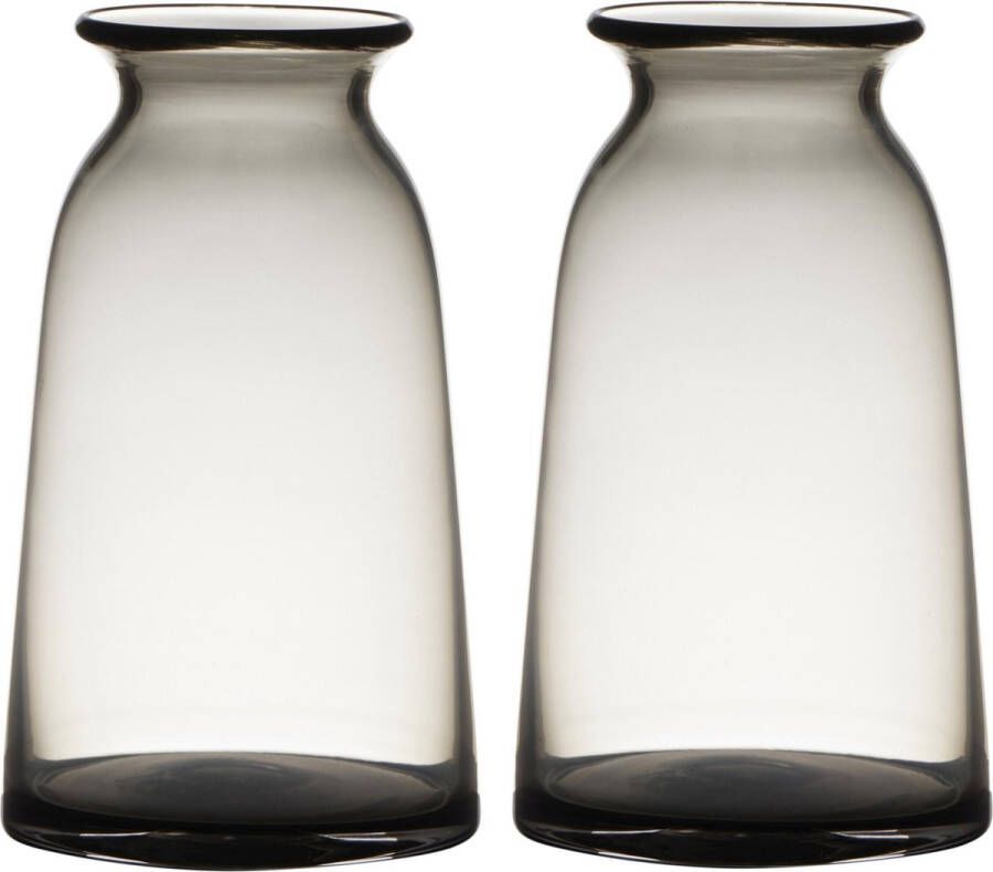 Merkloos Sans marque Set van 2x stuks transparante home-basics grijze vaas vazen van glas 23.5 x 12.5 cm Bloemen takken boeketten vaas voor binnen gebruik