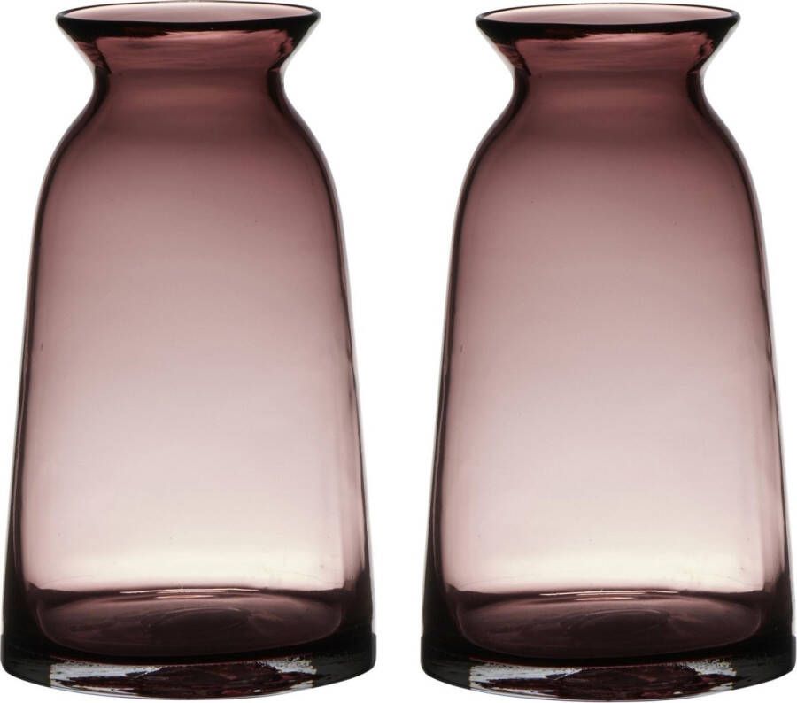 Merkloos Sans marque Set van 2x stuks transparante home-basics roze vaas vazen van glas 23.5 x 12.5 cm Bloemen takken boeketten vaas voor binnen gebruik