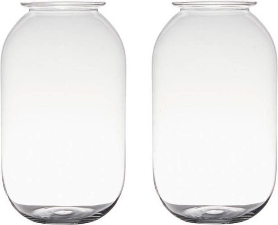 Merkloos Sans marque Set van 2x stuks transparante home-basics vaas vazen van glas 30 x 19 cm Bloemen takken boeketten vaas voor binnen gebruik