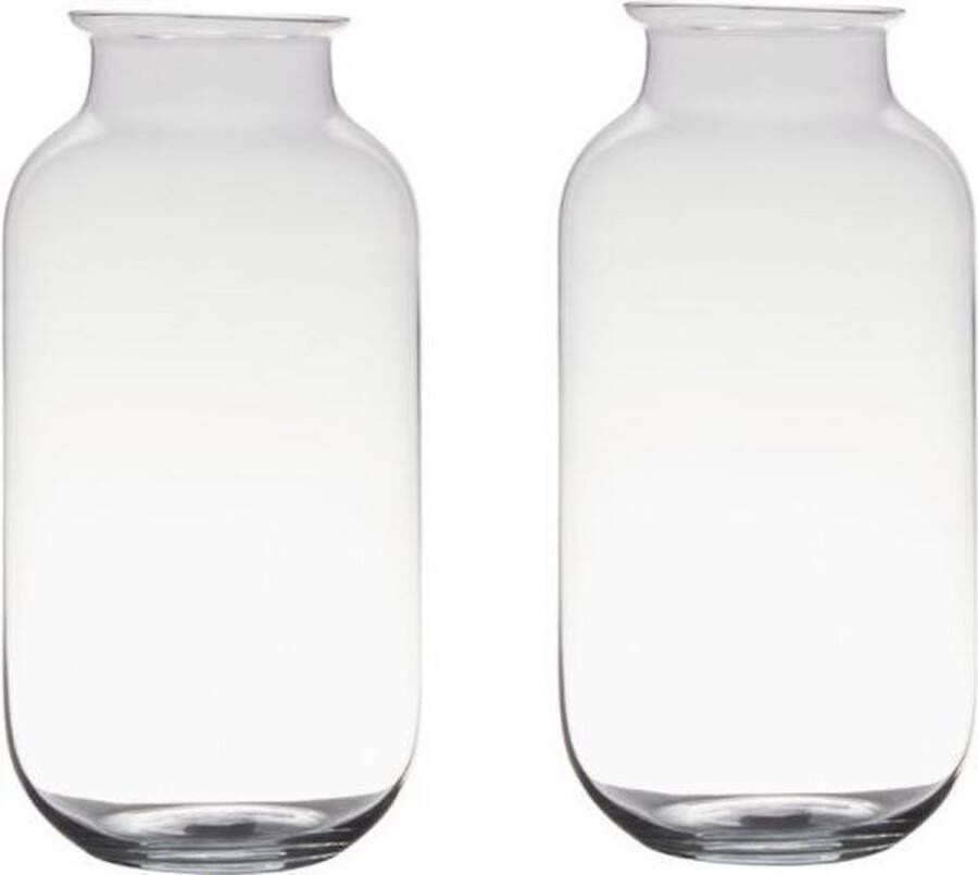 Merkloos Sans marque Set van 2x stuks transparante home-basics vaas vazen van glas 35 x 17 cm Bloemen takken boeketten vaas voor binnen gebruik