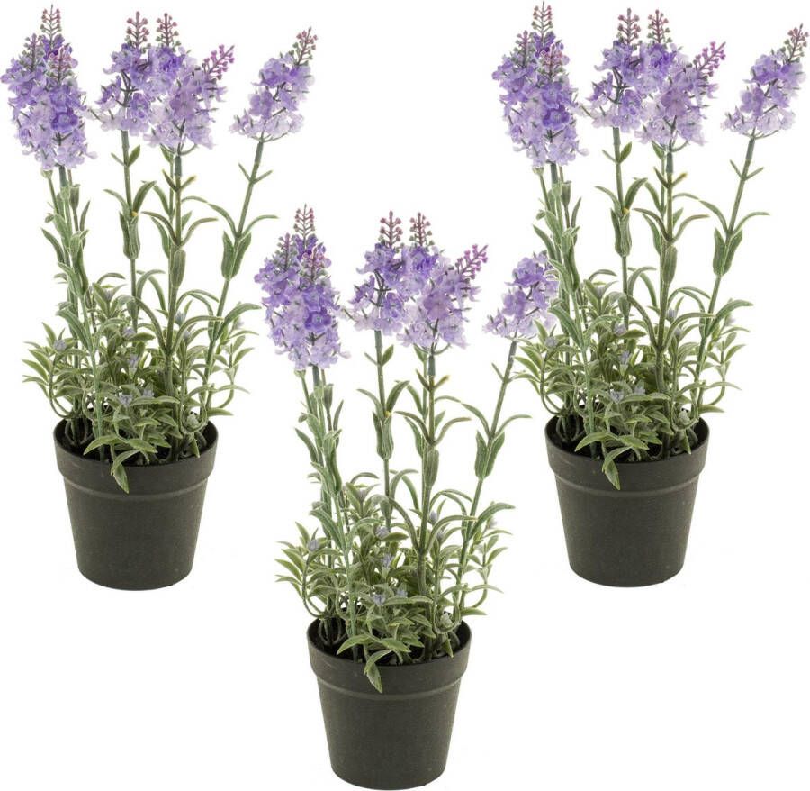Merkloos Sans marque Set van 3x stuks lila paarse lavendel kunstplanten in kunststof pot 28 cm Lavandula Woondecoratie accessoires Kunstplanten Nepplanten Lavendel planten in pot