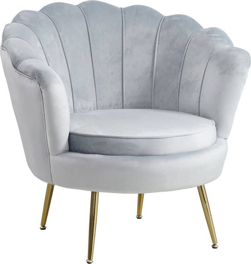 Artistiq Living Artistiq Fauteuil 'Lizzy' Velvet kleur Grijs