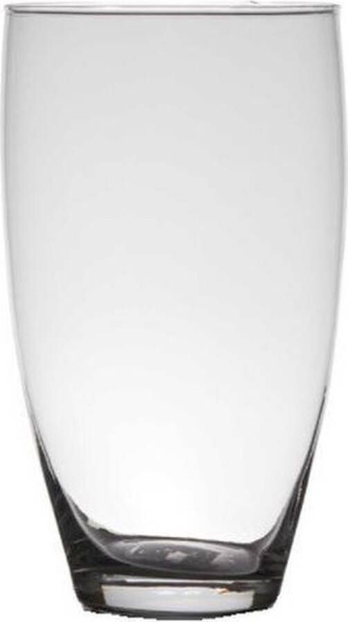 Merkloos Sans marque Transparante home-basics vaas vazen van glas 25 x 14 cm Bloemen takken boeketten vaas voor binnen gebruik