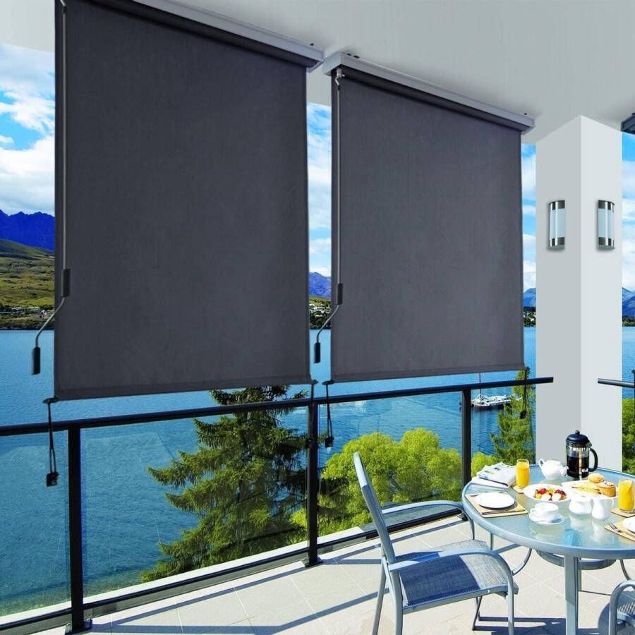 Merkloos Sans marque verticale luifel 1 6 x 2 5 m voor balkon terras met grijze luifelcassette verticale luifel voor buiten voor wind- zonwering en privacybescherming waterdicht antraciet GSA165GY