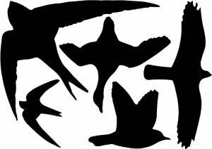 Merkloos Vogels Zwart Silouette Raam Stickers 33 X 23 Cm Set Van 10x Stuks Vogelverjagers