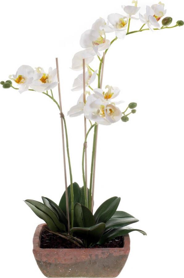 Merkloos Sans marque Witte orchidee kunstplant in terracotta pot 50 cm Orchidaceae Woondecoratie accessoires Kunstplanten Nepplanten Orchidee planten in pot