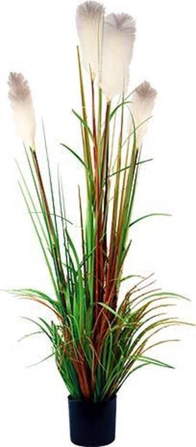 Warentuin Riet gras in pot 150 cm wit-groen-bruin kunstplant Buitengewoon de Boet