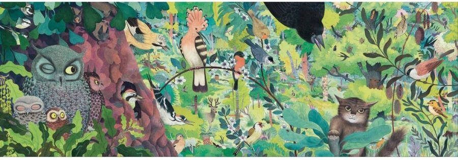 Djeco Puzzel Uilen En Vogels (1000 stukjes)