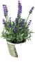 Items Lavendel bloemen kunstplant in bloempot paarse bloemen 10 x 22 cm bloemstuk Kunstplanten - Thumbnail 2