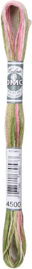 DMC 4500 Coloris borduurgaren