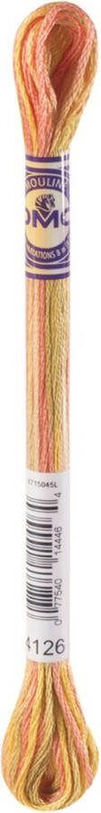DMC Mouline Variations Nr. 4126 Borduurgaren