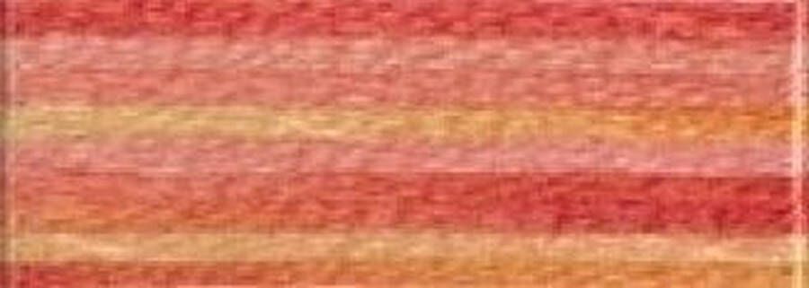 DMC Mouline Variations Nr. 4120 Borduurgaren