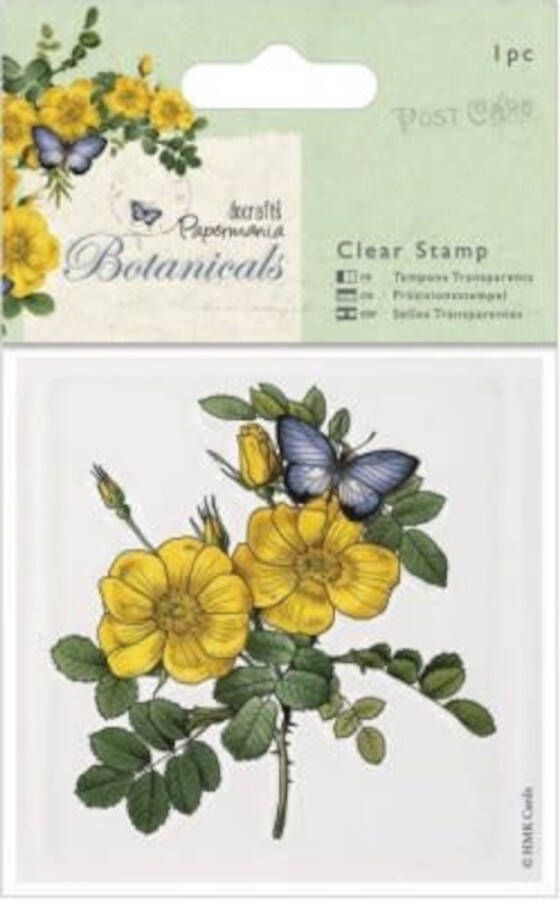 Docraft s 80 x 80mm Botanicals Clear Stamps Wild Rose stempel