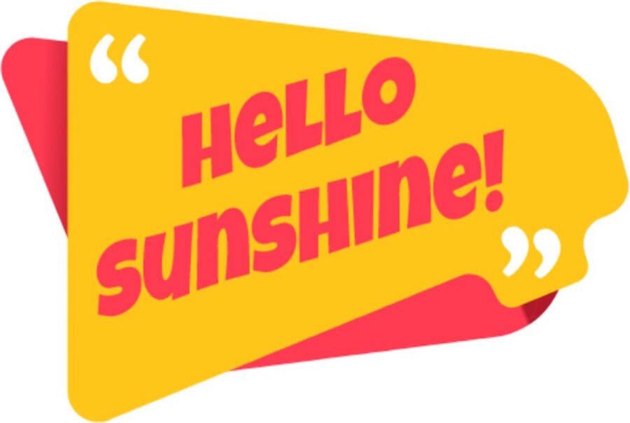 Doodadeals Motivatie Sticker Quote Sticker Hello Sunshine – Muursticker – Raamsticker – Sticker Volwassenen – Circa 16 cm