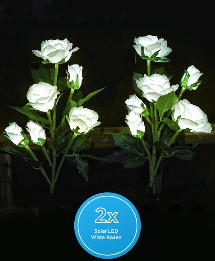 DOUBLE MM DoubleMM Solar LED Tuinverlichting Sfeerverlichting Witte rozen Met LED Tuinverlichting Buitenverlichting op Zonne Energie Prikspots Buiten Bestand Tegen Alle Weertype 6 Rozenbloemen Per Prikspot Zeer Natuurgetrouw 2 Stuks