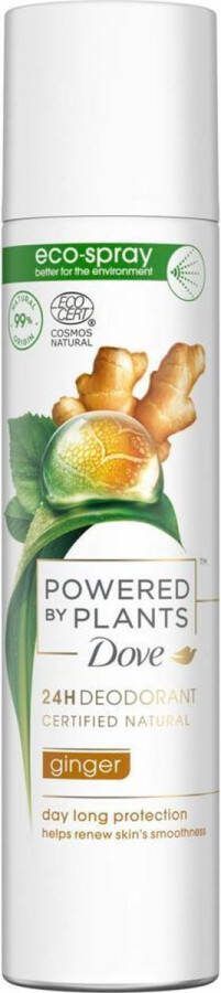 Dove 6x Deodorant Eco Spray Ginger 75 ml