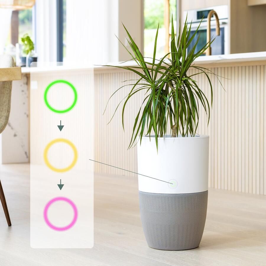 Dupray Stil slim stijlvol: Bloom luchtreiniger én plantenbak met medisch HEPA filter