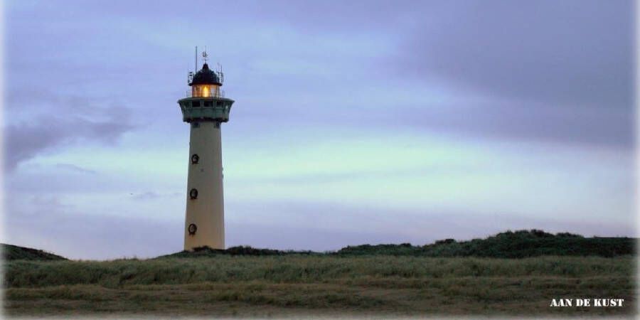 Durensa Ecaros metalen infrarood paneel 800 Wat met afbeelding