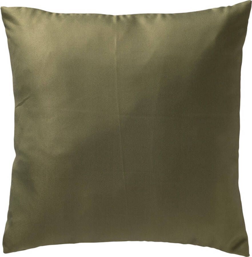 Dutch Decor Limited Collection SUN Buitenkussen 45x45 cm waterafstotend en uv-bestendig Olive Branch groen