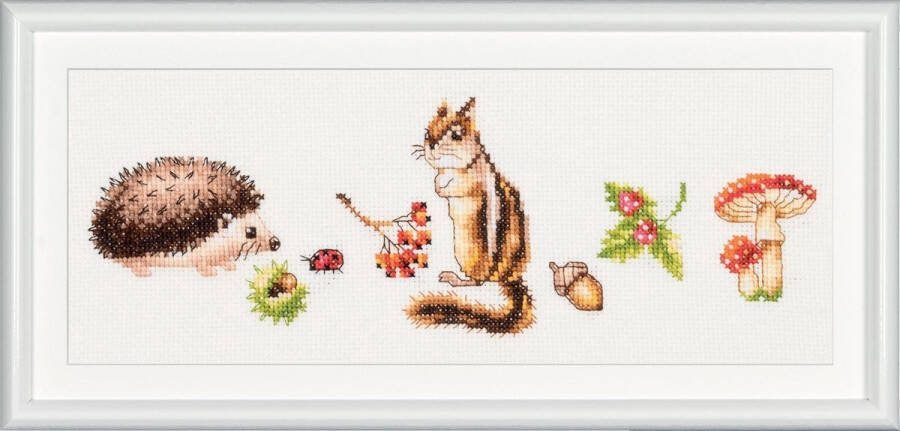 Dutch Stitch Brothers DIY borduurpakket DSB009A Bos dieren Wit Aida 10 x 30 cm