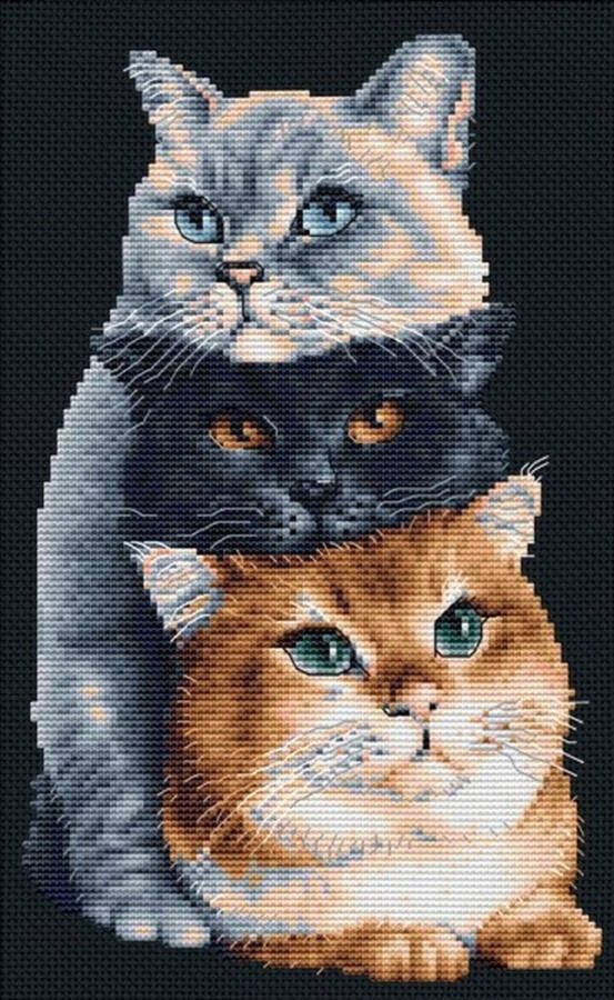 Dutch Stitch Brothers DIY borduurpakket DSB015 Drie katten Zwart Aida 26 x 18 cm