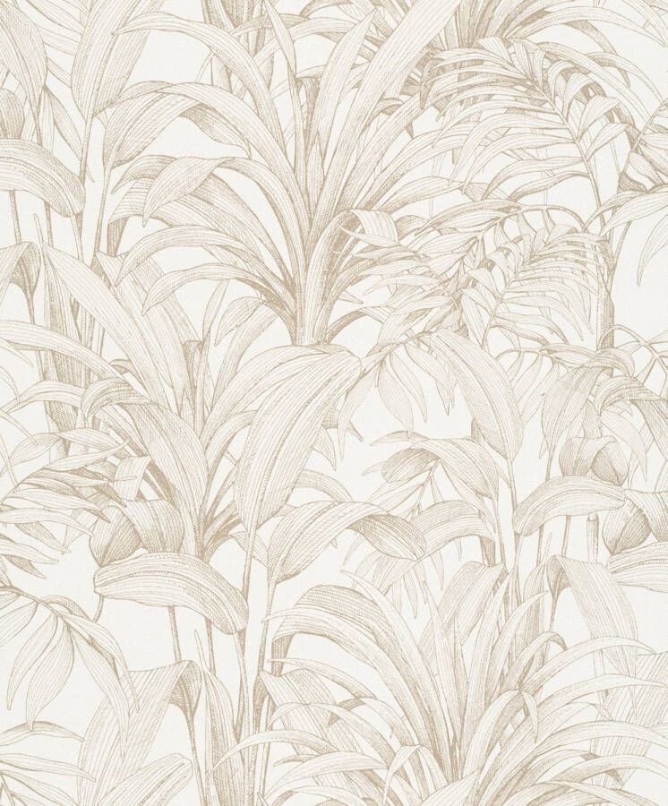 Dutch Wallcoverings Asperia- Aliare wit goud vliesbehang 10m x 53cm A51402