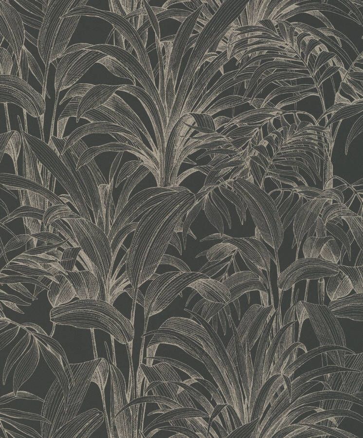 Dutch Wallcoverings Duch Wallcoverings Asperia- Aliare zwart zilver vliesbehang 10m x 53cm A51403