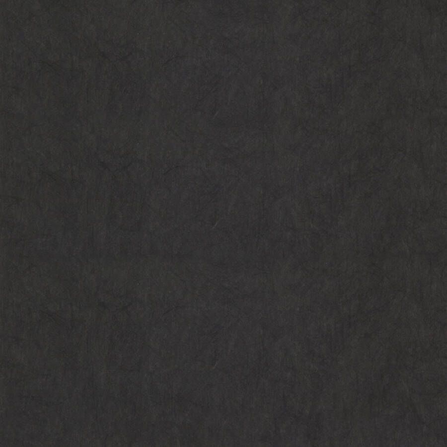 Dutch Wallcoverings FC Chroma 10-Raven vliesbehang 10m x 53cm