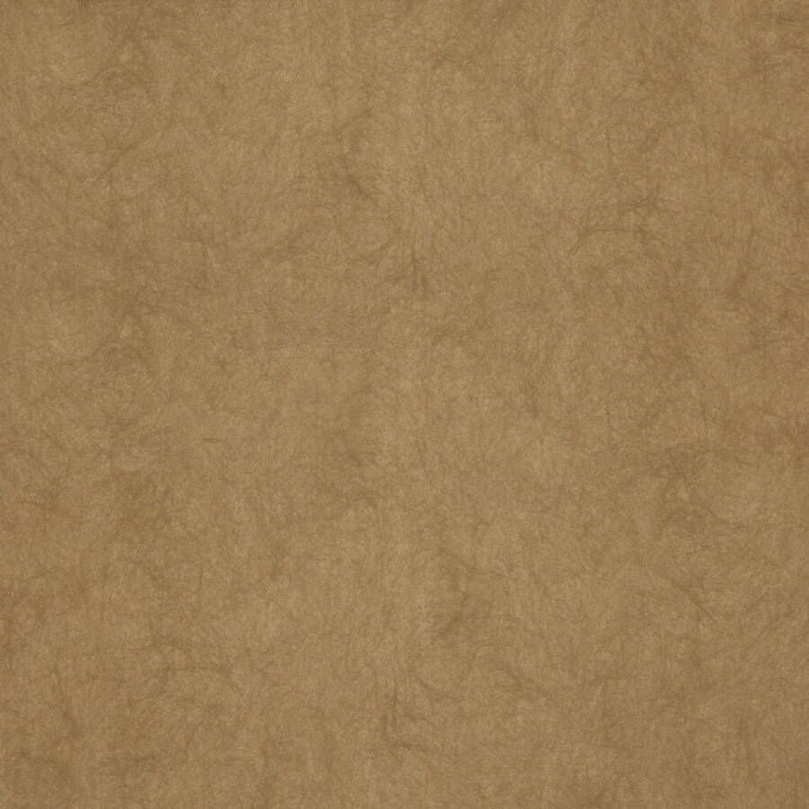 Dutch Wallcoverings FC Chroma 35-Caramel vliesbehang 10m x 53cm