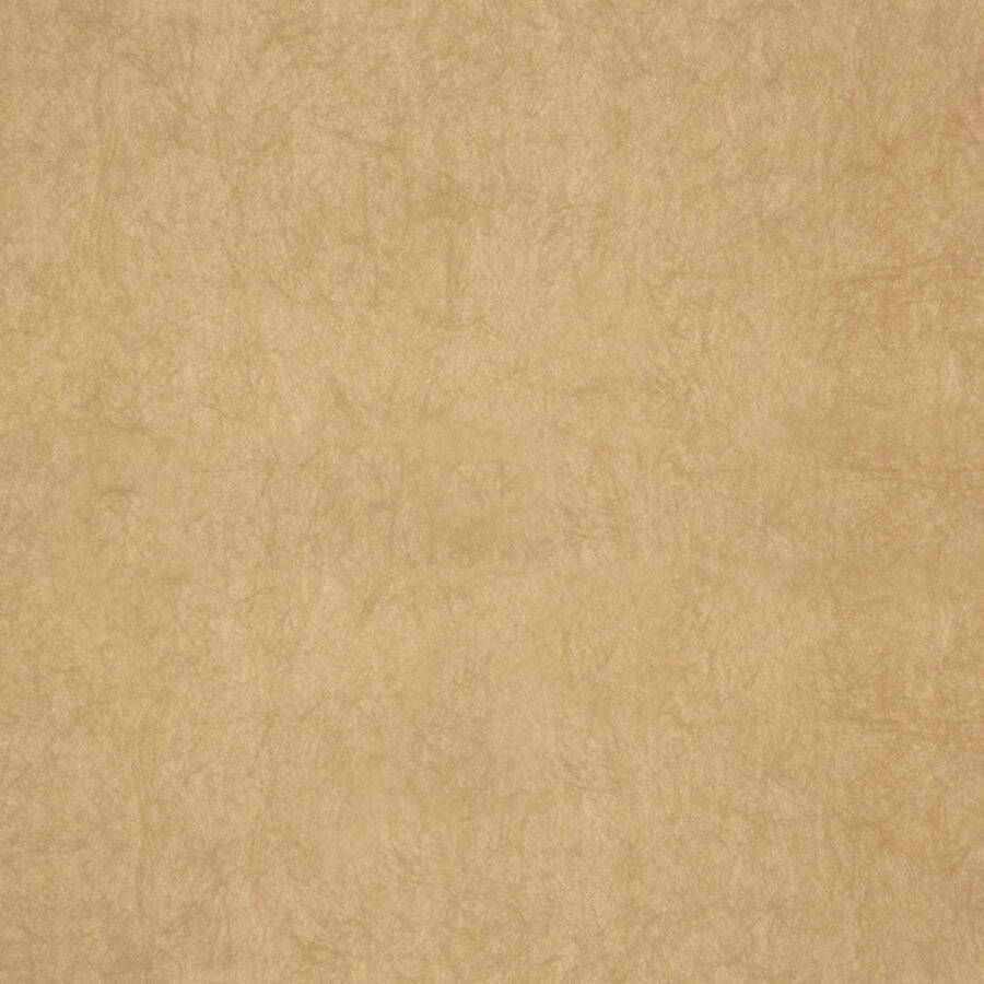 Dutch Wallcoverings FC Chroma 36-Fawn vliesbehang 10m x 53cm