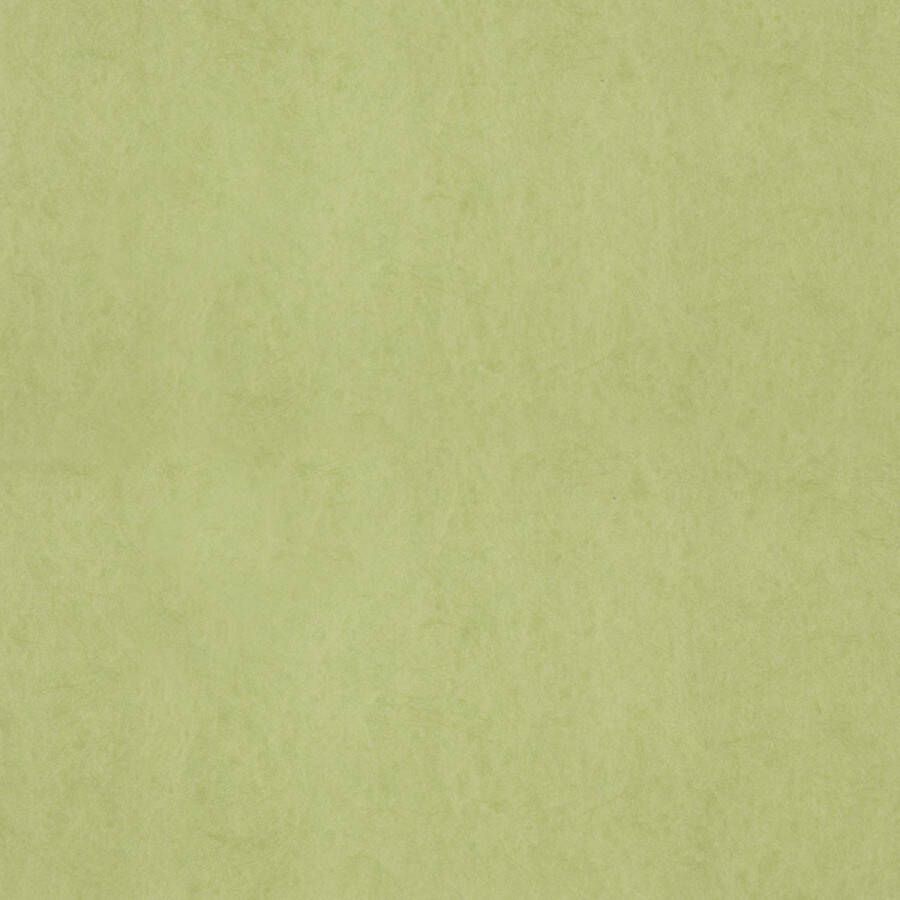 Dutch Wallcoverings FC Chroma 58-Lime vliesbehang 10m x 53cm