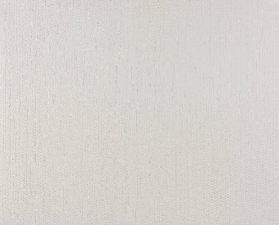 Dutch Wallcoverings Vliesbehang uni bamboe wit