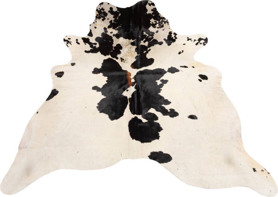 Dutchskins Koeienhuid vloerkleed Beige Creme Koeienkleed Beige Creme mooie dikke kwaliteit handgeselecteerde koeienvellen Ecologisch gelooid Uniek gefotografeerde koeienhuiden