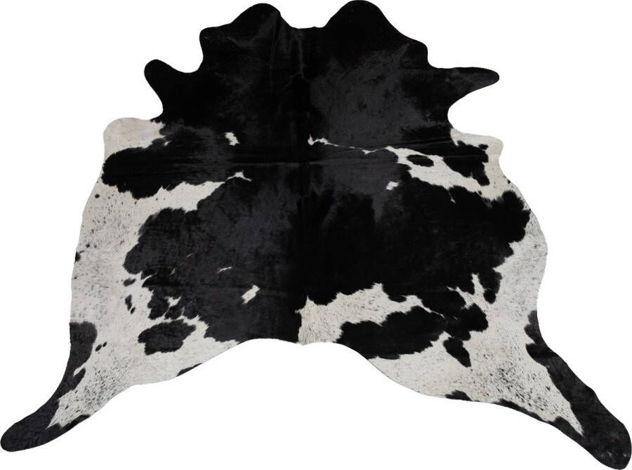 Dutchskins Koeienhuid vloerkleed Zwart Wit Koeienkleed Zwart Wit mooie dikke kwaliteit handgeselecteerde koeienvellen Ecologisch gelooid Uniek gefotografeerde koeienhuiden