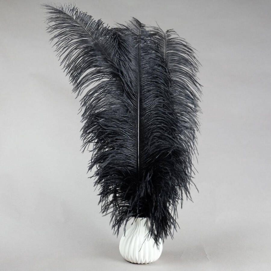 Dutchskins Struisvogelveren 4 stuks 45 60 cm Struisvogel veren zwart decoratie veren