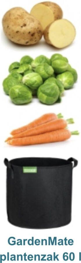 Duurzaam&Mi Duurzaam Plantenzakken 10 gallons (set van 5) 40cm x 30cm zwart 45 Liter kweekzak plantzak herbruikbaar vliesstoff tuin tuinieren planten fruit groen milieuvriendelijk balkonplanten groentebedden
