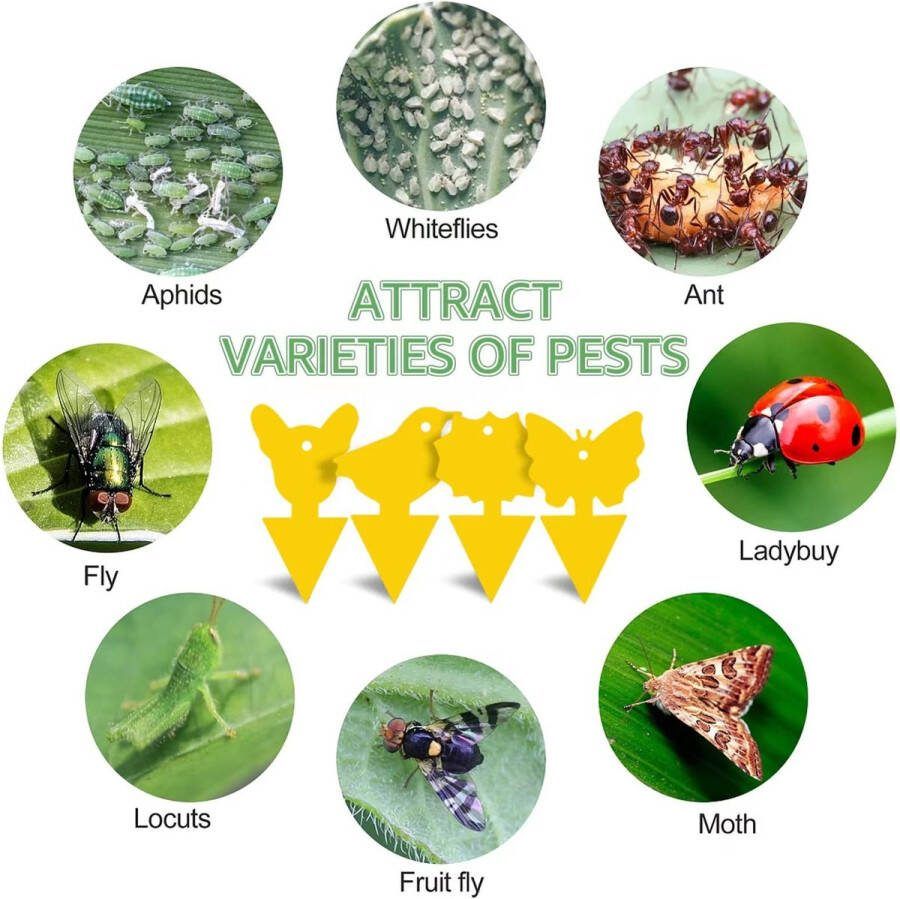 Duurzaam&Mi Vliegenvangers 48 Stuks Kleverige Vliegenvallen Gele sticker Zeer Effectieve tegen Vliegende Insecten Rouwmuggen Ongediertebestrijding Fruitvliegjes Vanger Bestrijden Vliegenvanger Plak Klavertjes Tegen insecten