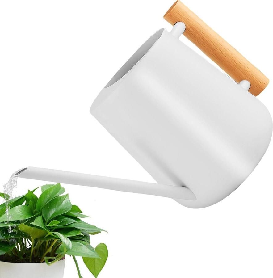 1 liter kleine gieter voor kamerplanten van roestvrij staal met houten handvat lange schenktuit voor vetplanten pottuin en meer