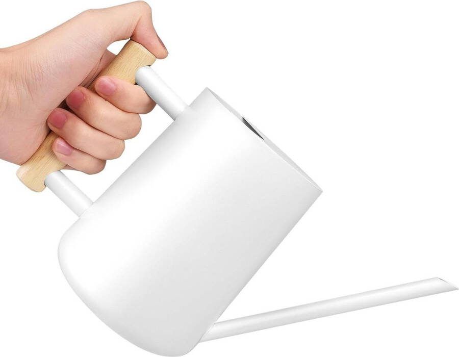 1 liter roestvrijstalen gieter met lange uitloop voor kamerplanten vetplanten comfortabele handgreep tuinsprinkler vintage bloemengieter balkon kantoor woonkamer