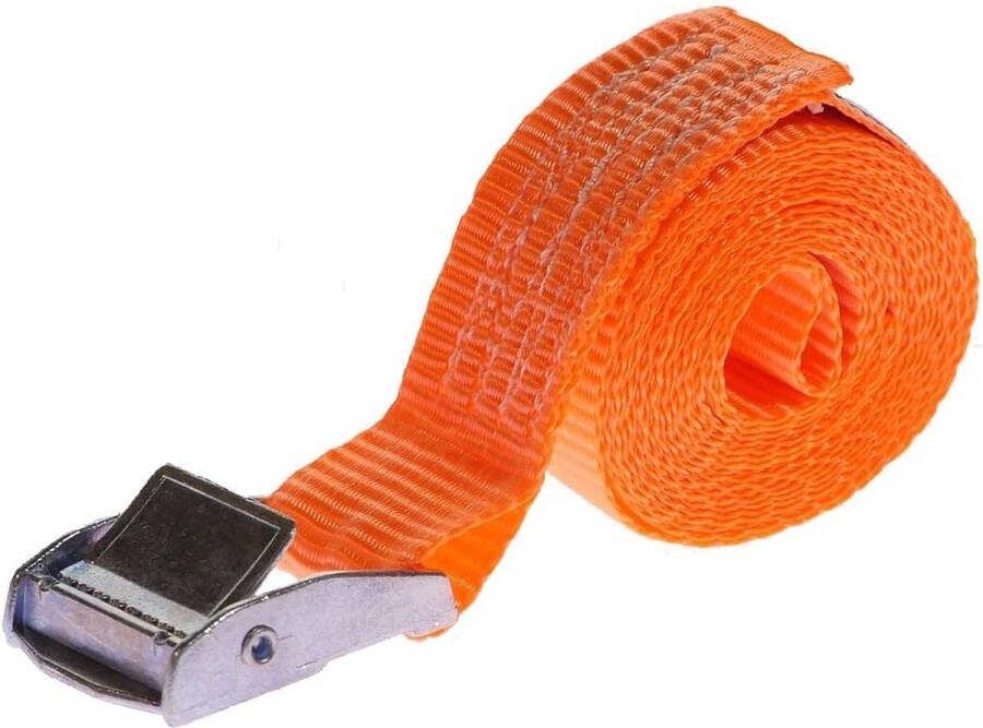 10 x 250 kg 2 m Spanriemen met klemslot 25mm spanriemen bevestigingsriemen klemslot spanriemen Cam Buckle Strap spanbanden met gesp