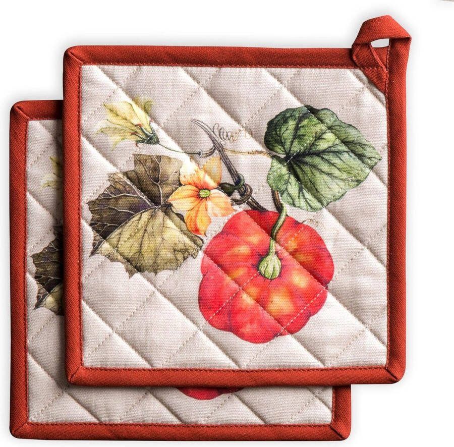 100% katoen set met 2 pannenlappen BBQ koken bakken magnetron grillen Thanksgiving Kerstmis (20 cm x 20 cm)