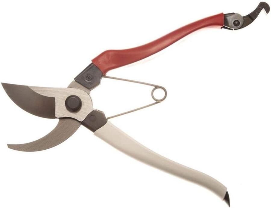 104 Extra Groot Model Lengte 21 Cm Snoeischaar