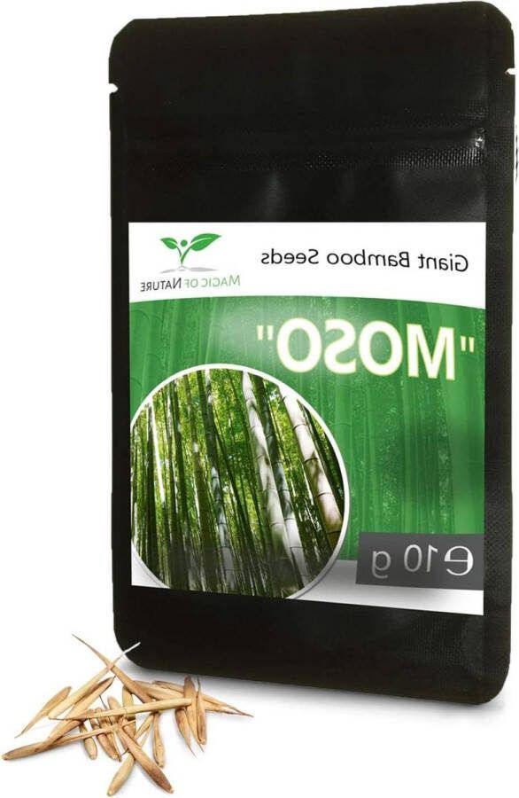 10g Giant Bamboo Zaden ong. 350 stuks Privacy beschermende windscherm Winterhard tot -15 graden bamboe schutting