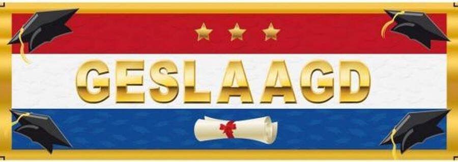10x stuks stickers Geslaagd Nederlandse vlag 19 6 x 6 5 cm